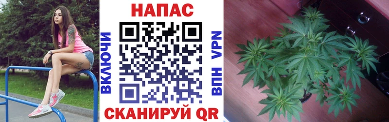 Каннабис тримм  где можно купить наркотик  Сосновоборск 